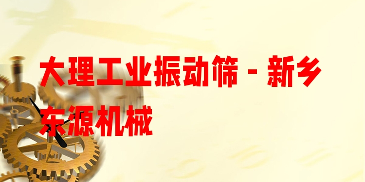 大理工業(yè)振動(dòng)篩 - 新鄉(xiāng)東源機(jī)械