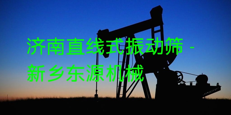 濟南直線式振動篩 - 新鄉(xiāng)東源機械