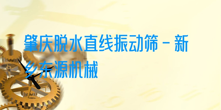 肇慶脫水直線振動(dòng)篩 - 新鄉(xiāng)東源機(jī)械