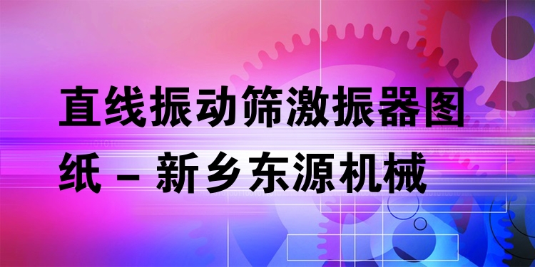 直線振動(dòng)篩激振器圖紙 - 新鄉(xiāng)東源機(jī)械