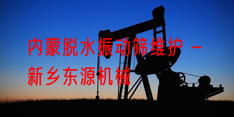內(nèi)蒙脫水振動(dòng)篩維護(hù) - 新鄉(xiāng)東源機(jī)械