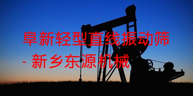 阜新輕型直線振動篩 - 新鄉(xiāng)東源機械