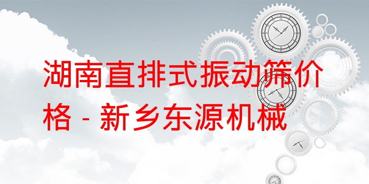 湖南直排式振動篩價格 - 新鄉(xiāng)東源機械