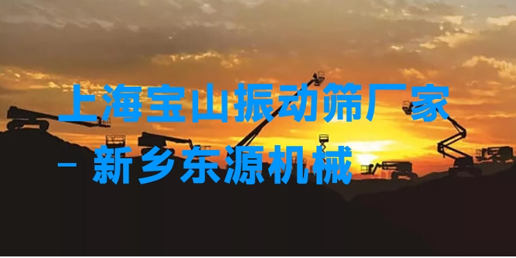 上海寶山振動(dòng)篩廠家 - 新鄉(xiāng)東源機(jī)械