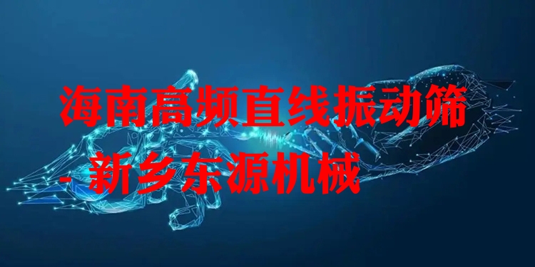 海南高頻直線振動(dòng)篩 - 新鄉(xiāng)東源機(jī)械