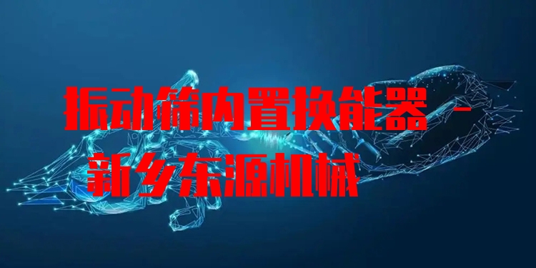 振動(dòng)篩內(nèi)置換能器 - 新鄉(xiāng)東源機(jī)械