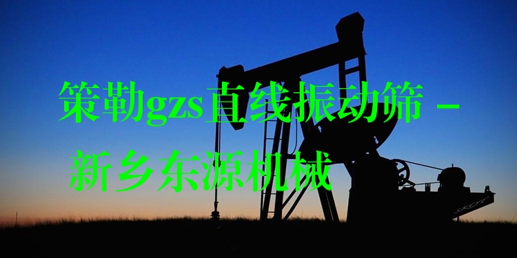 策勒gzs直線振動(dòng)篩 - 新鄉(xiāng)東源機(jī)械