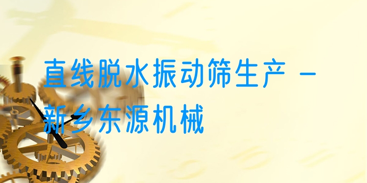 直線脫水振動(dòng)篩生產(chǎn) - 新鄉(xiāng)東源機(jī)械