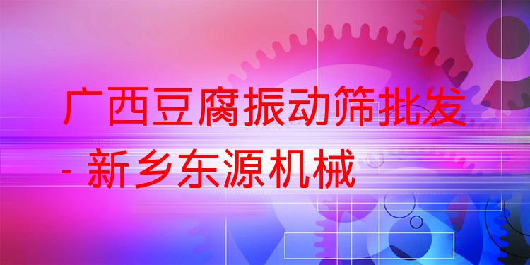 廣西豆腐振動篩批發(fā) - 新鄉(xiāng)東源機(jī)械