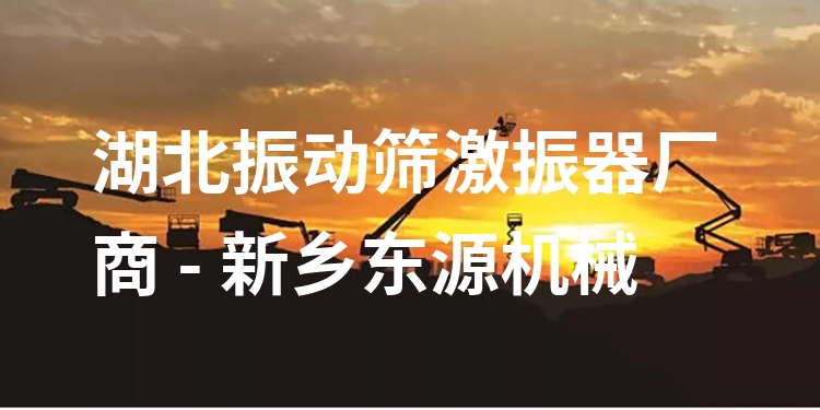 湖北振動篩激振器廠商 - 新鄉(xiāng)東源機(jī)械