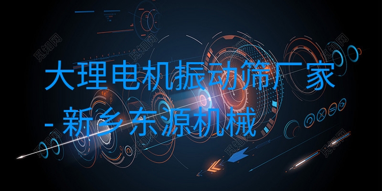 大理電機振動篩廠家 - 新鄉(xiāng)東源機械