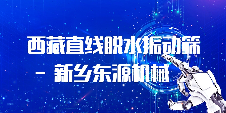 西藏直線脫水振動(dòng)篩 - 新鄉(xiāng)東源機(jī)械