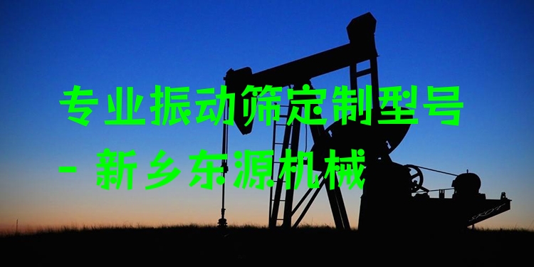 ***振動篩定制型號 - 新鄉(xiāng)東源機械