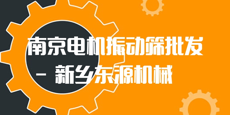 南京電機(jī)振動(dòng)篩批發(fā) - 新鄉(xiāng)東源機(jī)械