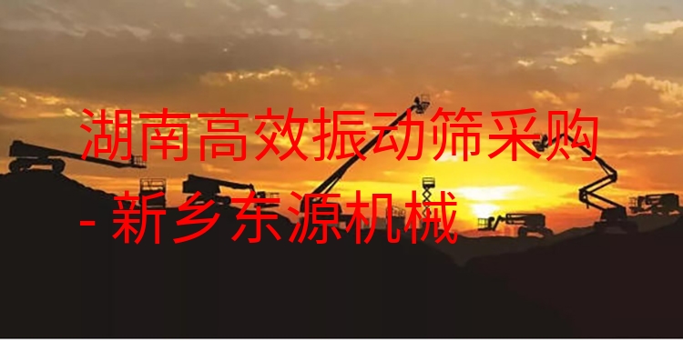 湖南***振動篩采購 - 新鄉(xiāng)東源機械
