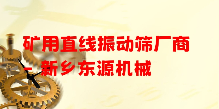 礦用直線振動篩廠商 - 新鄉(xiāng)東源機械