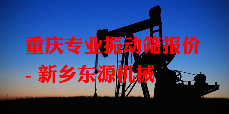 重慶***振動(dòng)篩報(bào)價(jià) - 新鄉(xiāng)東源機(jī)械
