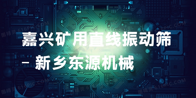 嘉興礦用直線振動(dòng)篩 - 新鄉(xiāng)東源機(jī)械