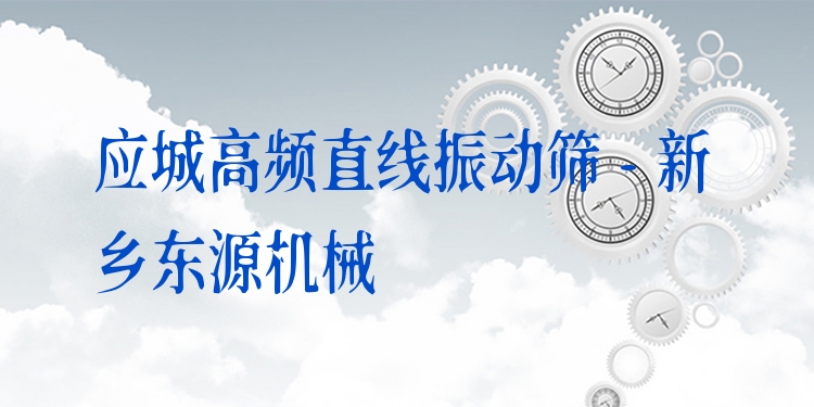 應(yīng)城高頻直線振動(dòng)篩 - 新鄉(xiāng)東源機(jī)械