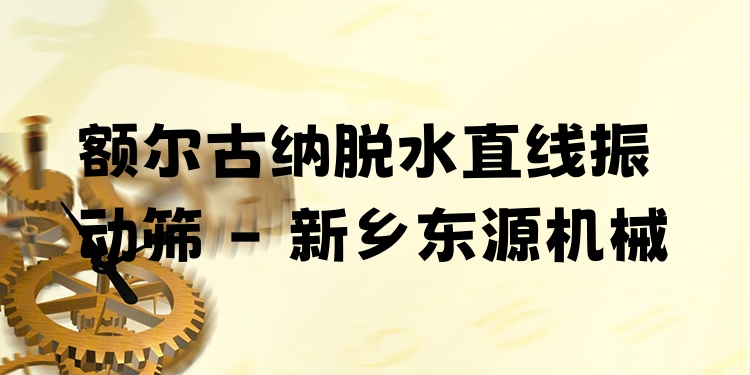 額爾古納脫水直線振動篩 - 新鄉(xiāng)東源機械