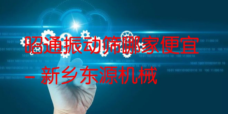 昭通振動篩哪家便宜 - 新鄉(xiāng)東源機(jī)械