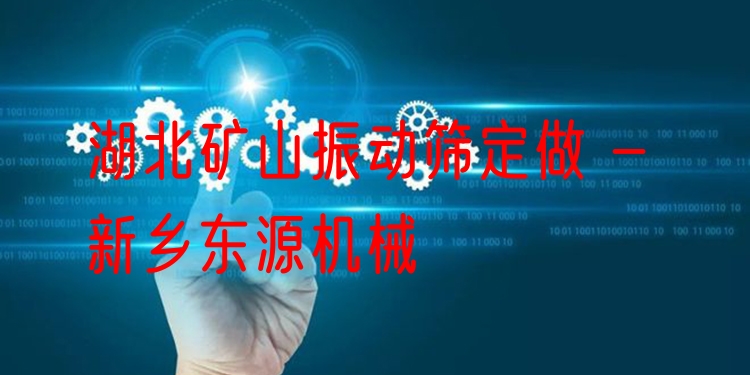 湖北礦山振動篩定做 - 新鄉(xiāng)東源機(jī)械
