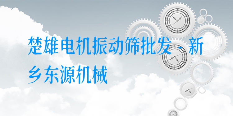 楚雄電機振動篩批發(fā) - 新鄉(xiāng)東源機械