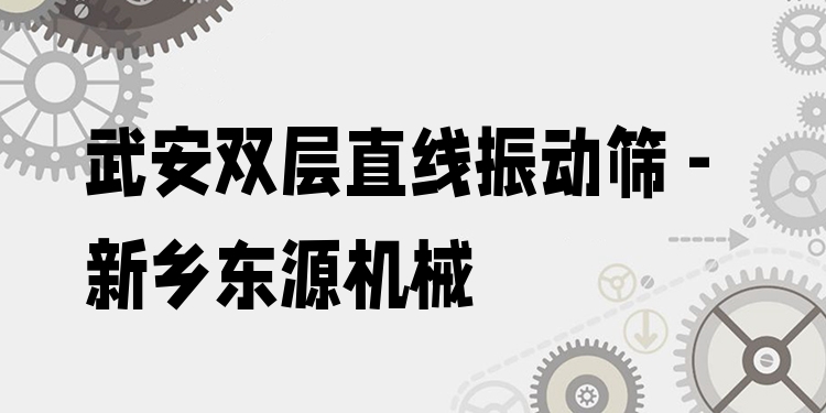 武安雙層直線振動(dòng)篩 - 新鄉(xiāng)東源機(jī)械
