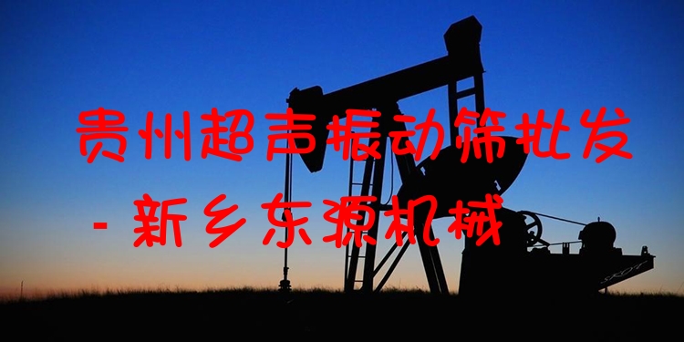 貴州超聲振動(dòng)篩批發(fā) - 新鄉(xiāng)東源機(jī)械