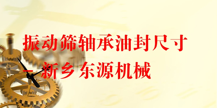 振動篩軸承油封尺寸 - 新鄉(xiāng)東源機械