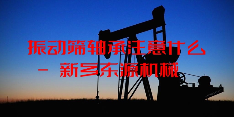 振動篩軸承注意什么 - 新鄉(xiāng)東源機械