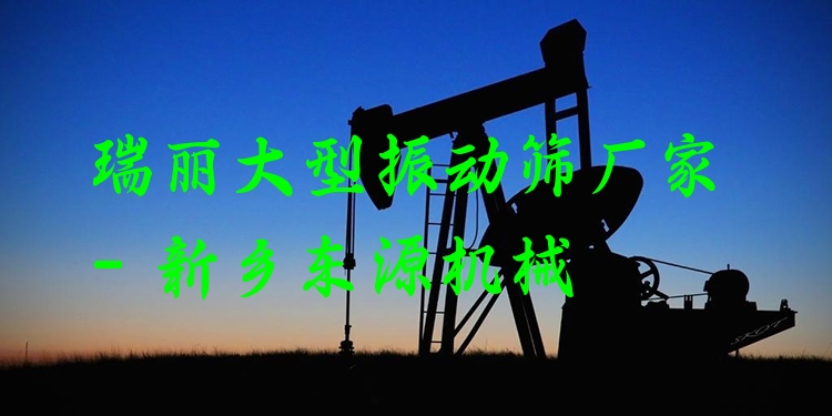 瑞麗大型振動(dòng)篩廠家 - 新鄉(xiāng)東源機(jī)械