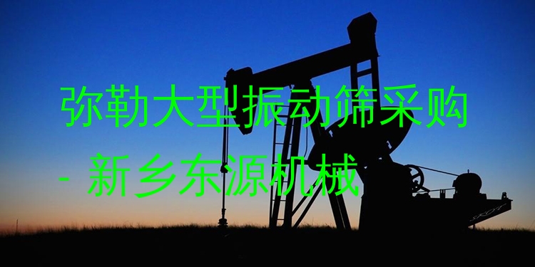 彌勒大型振動(dòng)篩采購 - 新鄉(xiāng)東源機(jī)械