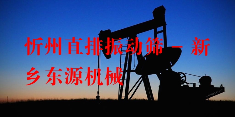 忻州直排振動(dòng)篩 - 新鄉(xiāng)東源機(jī)械