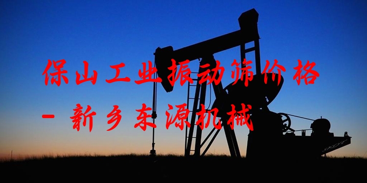 保山工業(yè)振動(dòng)篩價(jià)格 - 新鄉(xiāng)東源機(jī)械