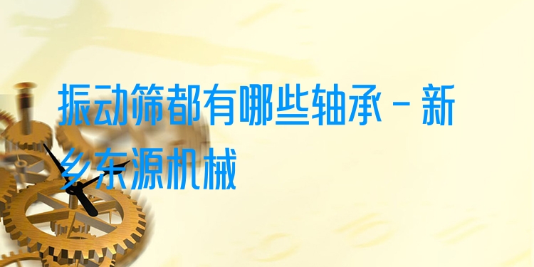 振動(dòng)篩都有哪些軸承 - 新鄉(xiāng)東源機(jī)械