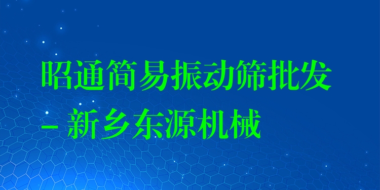 昭通簡易振動篩批發(fā) - 新鄉(xiāng)東源機(jī)械