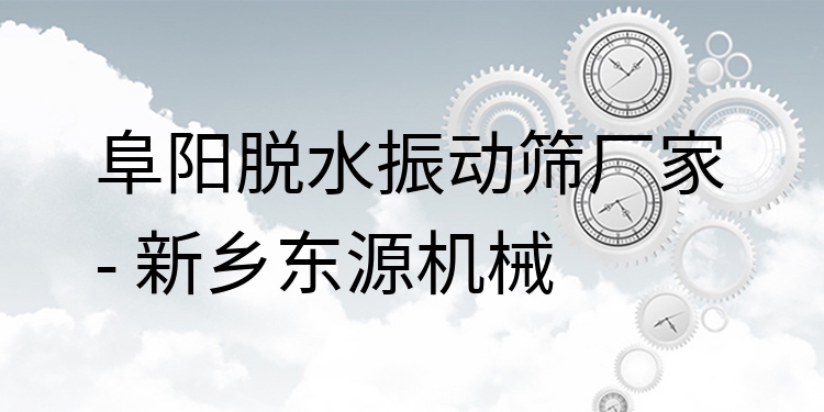 阜陽脫水振動(dòng)篩廠家 - 新鄉(xiāng)東源機(jī)械
