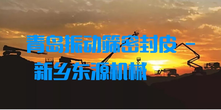 青島振動(dòng)篩密封皮 - 新鄉(xiāng)東源機(jī)械