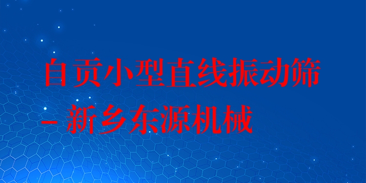自貢小型直線振動(dòng)篩 - 新鄉(xiāng)東源機(jī)械