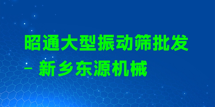 昭通大型振動篩批發(fā) - 新鄉(xiāng)東源機械