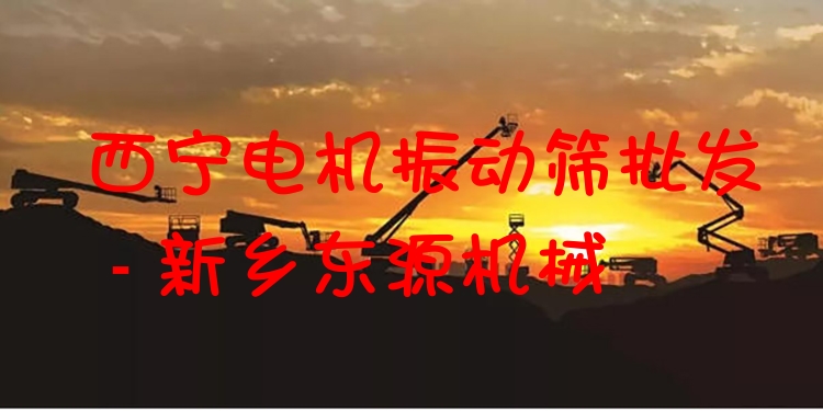 西寧電機振動篩批發(fā) - 新鄉(xiāng)東源機械