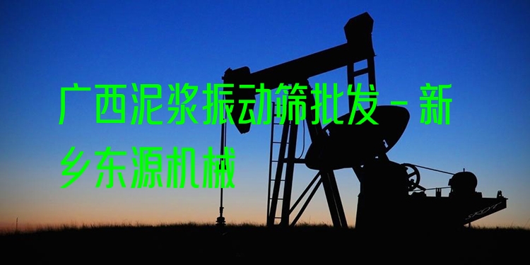 廣西泥漿振動篩批發(fā) - 新鄉(xiāng)東源機械