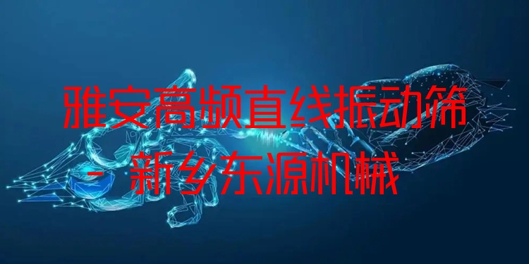 雅安高頻直線振動篩 - 新鄉(xiāng)東源機(jī)械