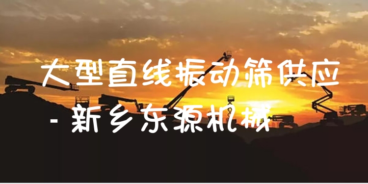 大型直線振動(dòng)篩供應(yīng) - 新鄉(xiāng)東源機(jī)械