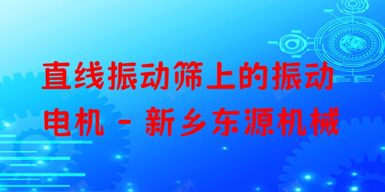 直線振動(dòng)篩上的振動(dòng)電機(jī) - 新鄉(xiāng)東源機(jī)械
