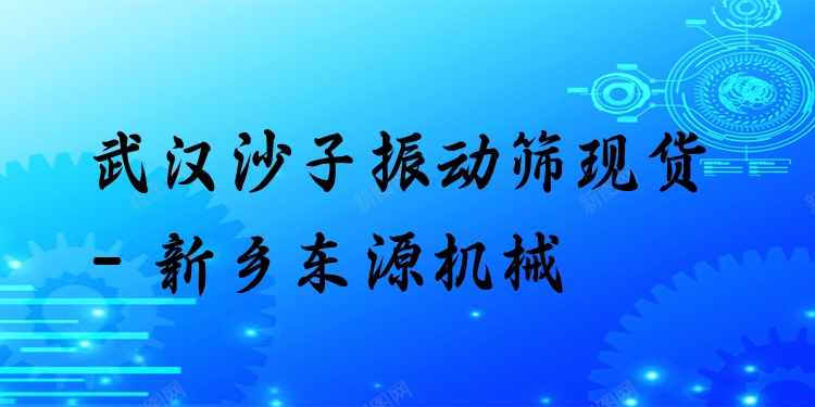 武漢沙子振動篩現貨 - 新鄉(xiāng)東源機械