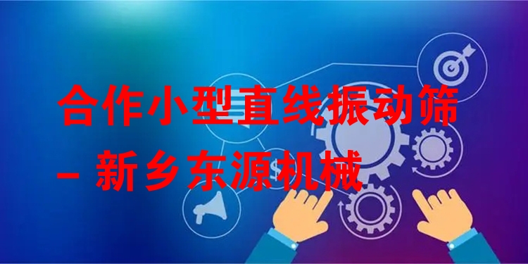 合作小型直線振動篩 - 新鄉(xiāng)東源機(jī)械