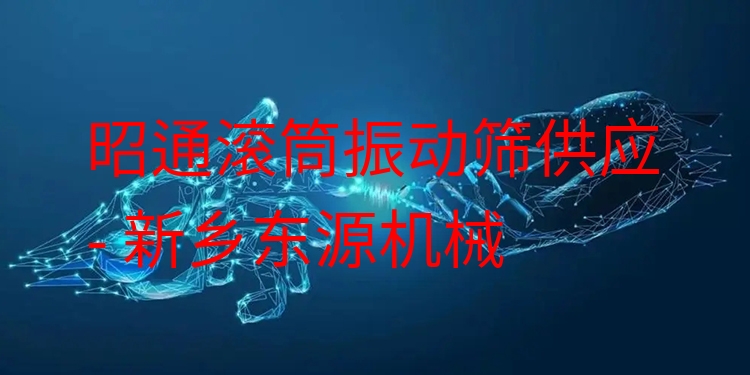 昭通滾筒振動篩供應(yīng) - 新鄉(xiāng)東源機(jī)械