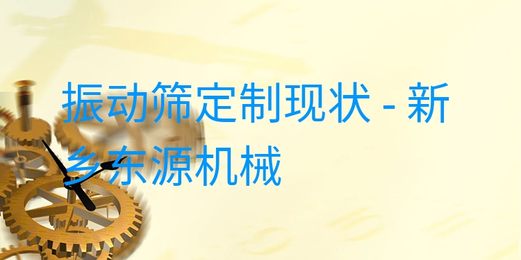 振動篩定制現(xiàn)狀 - 新鄉(xiāng)東源機械
